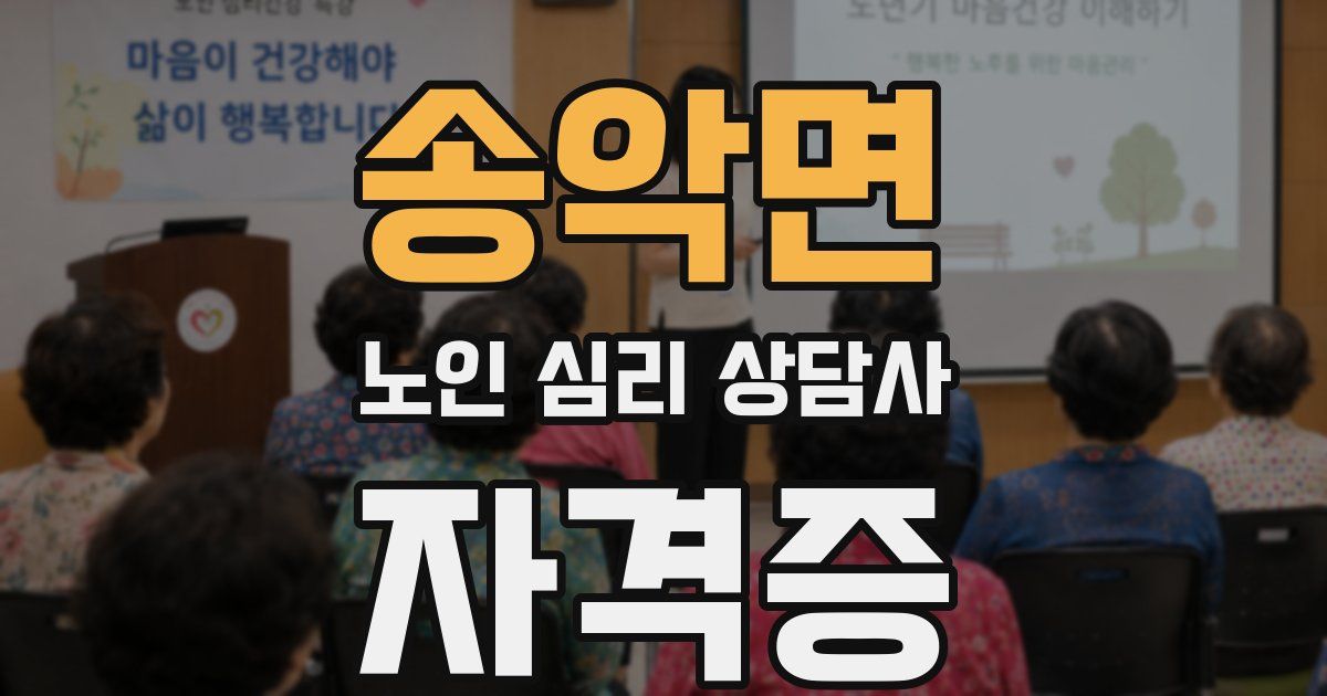 송악면 노인 심리 상담사 자격증