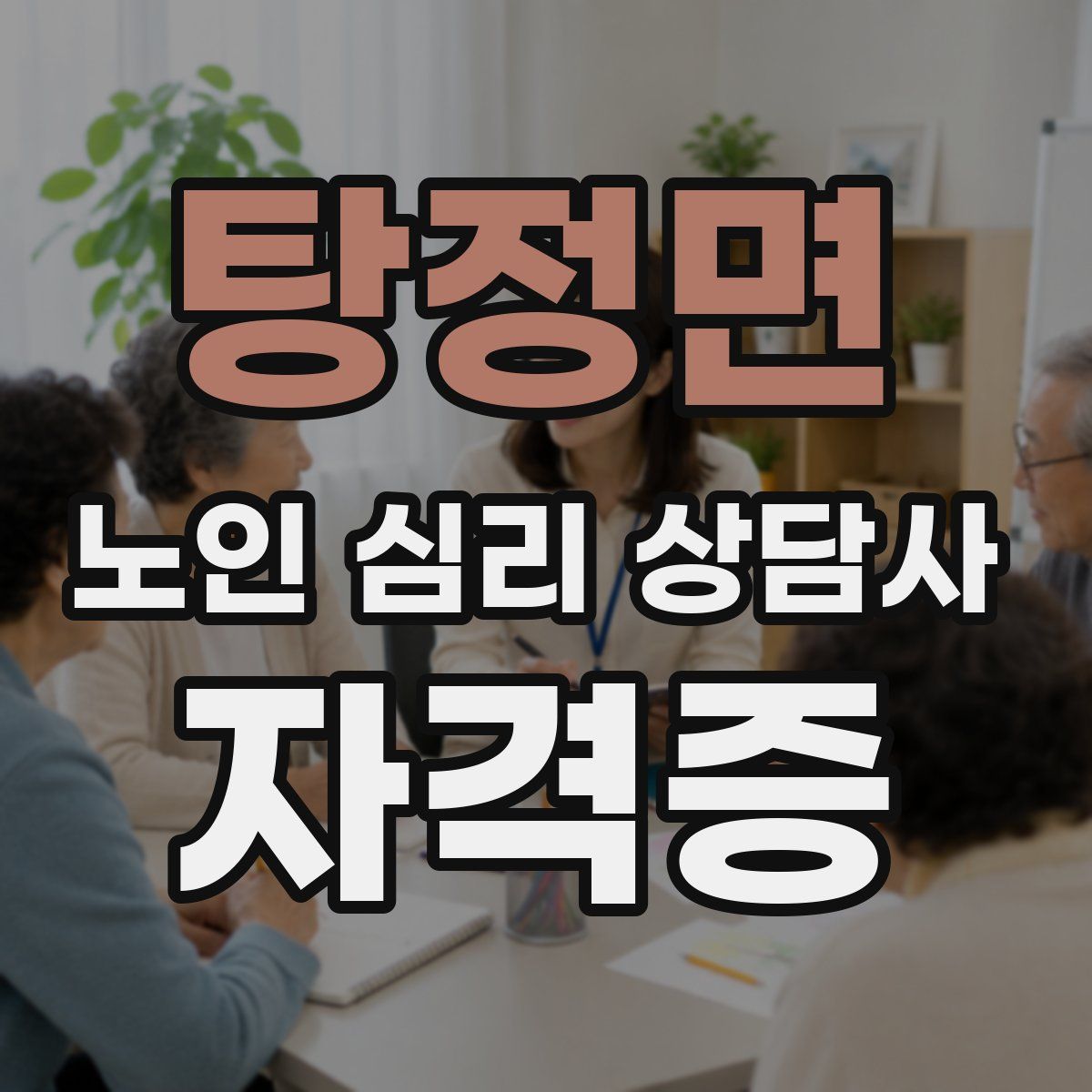 탕정면 노인 심리 상담사 자격증