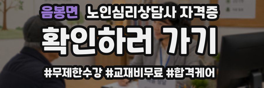 음봉면 노인 심리 상담사 자격증