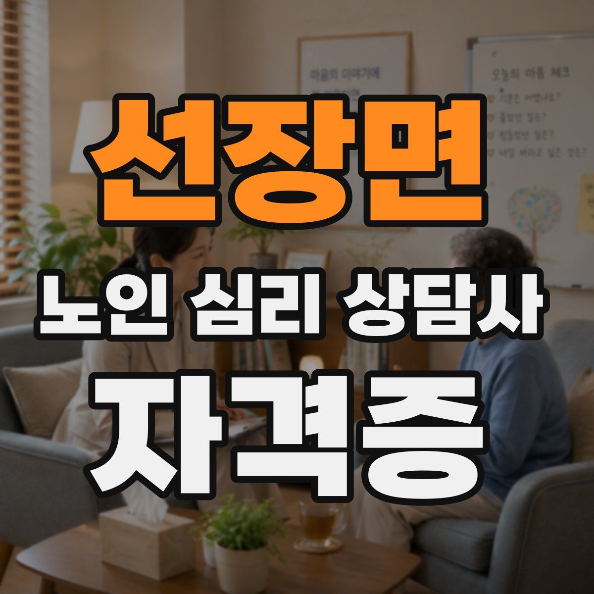 선장면 노인 심리 상담사 자격증