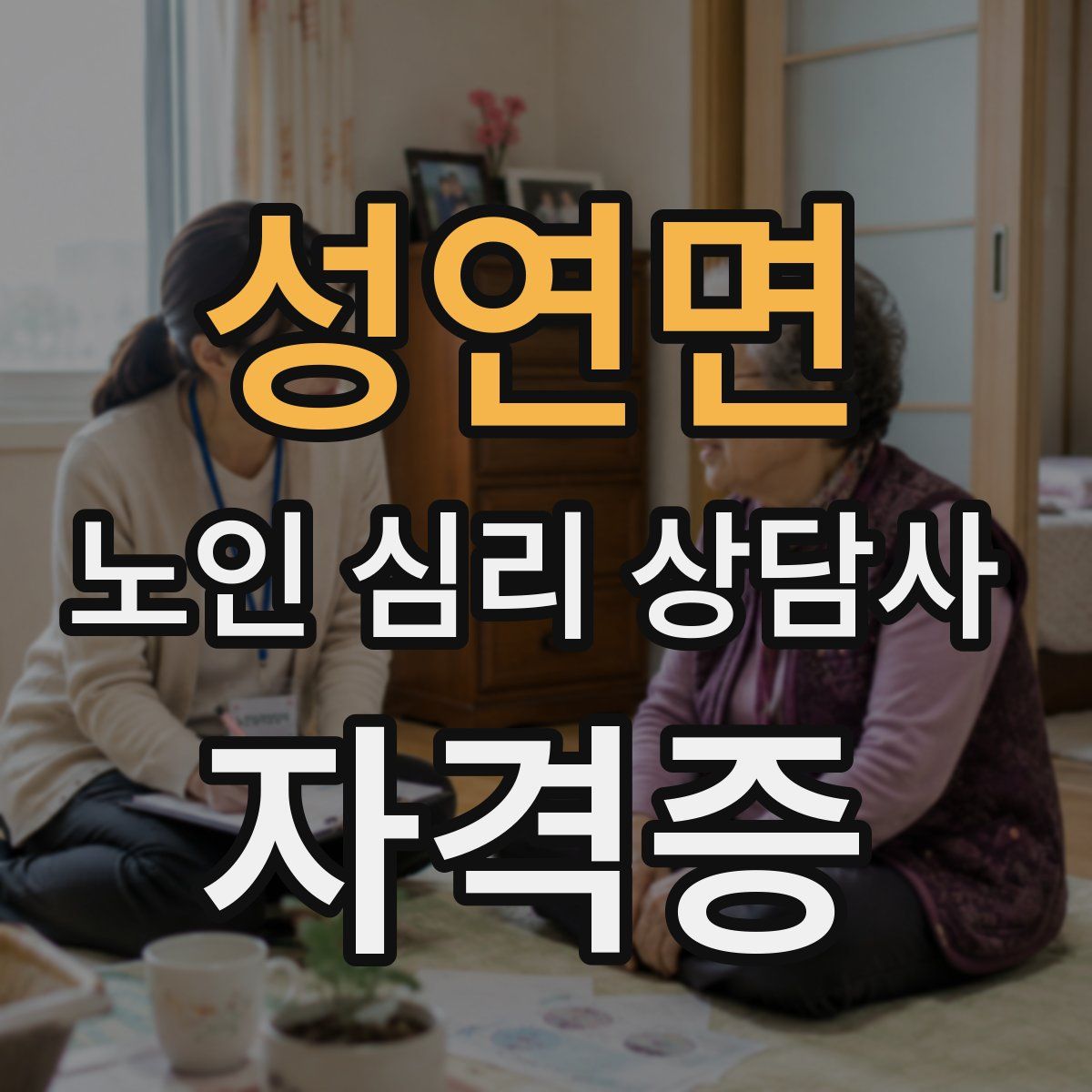 성연면 노인 심리 상담사 자격증