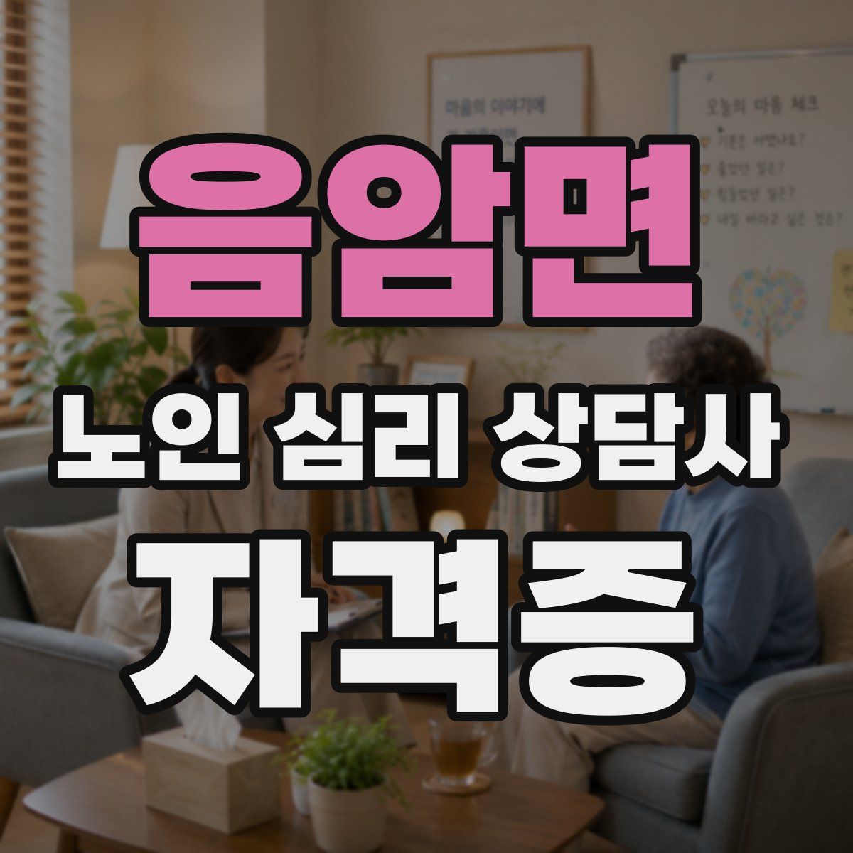 음암면 노인 심리 상담사 자격증