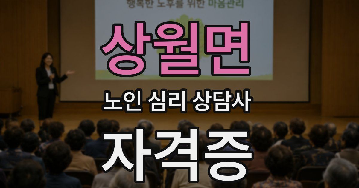 상월면 노인 심리 상담사 자격증