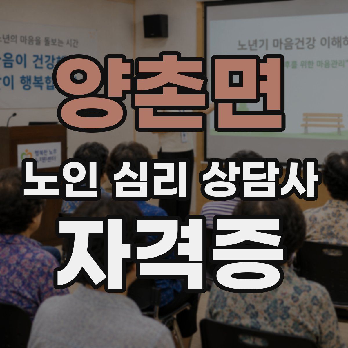 양촌면 노인 심리 상담사 자격증