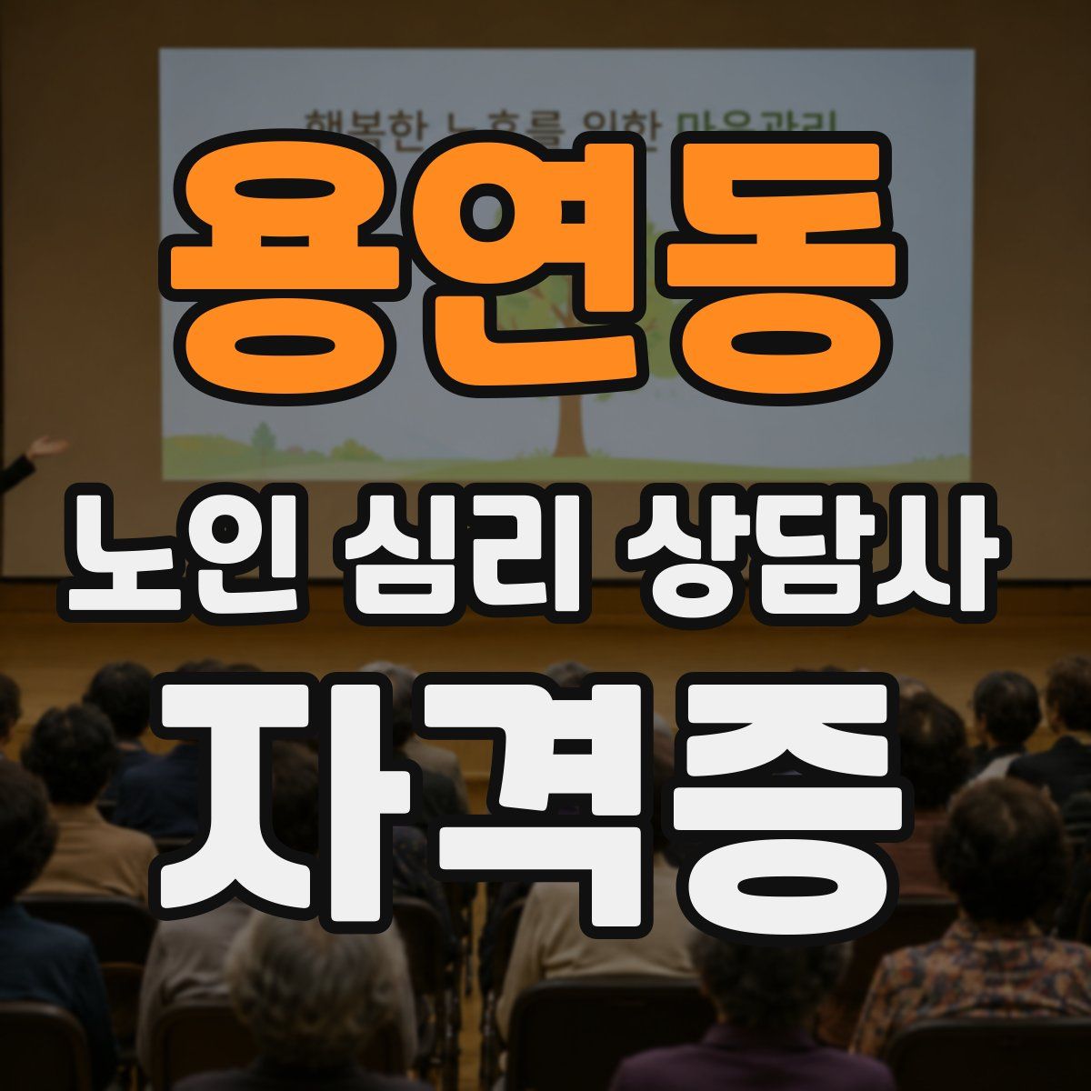 용연동 노인 심리 상담사 자격증
