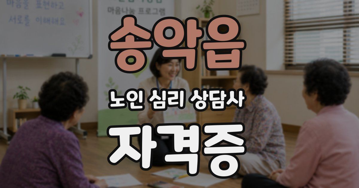 송악읍 노인 심리 상담사 자격증