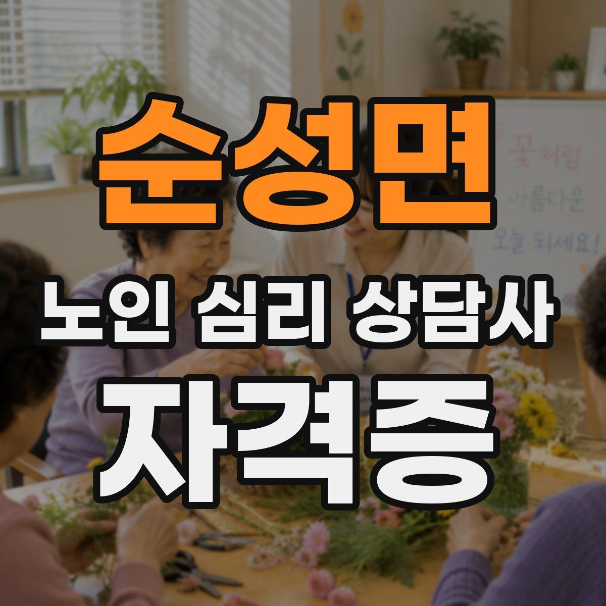순성면 노인 심리 상담사 자격증