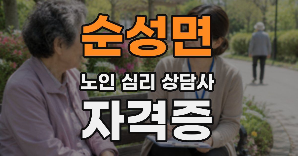 순성면 노인 심리 상담사 자격증