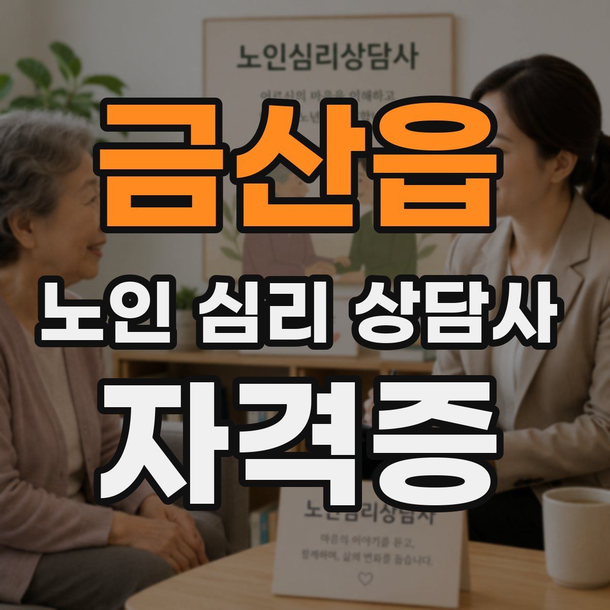 금산읍 노인 심리 상담사 자격증