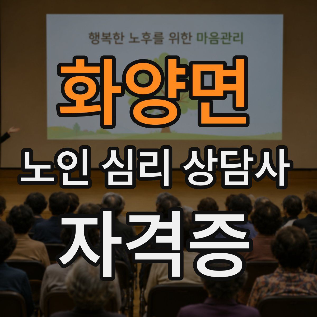 화양면 노인 심리 상담사 자격증