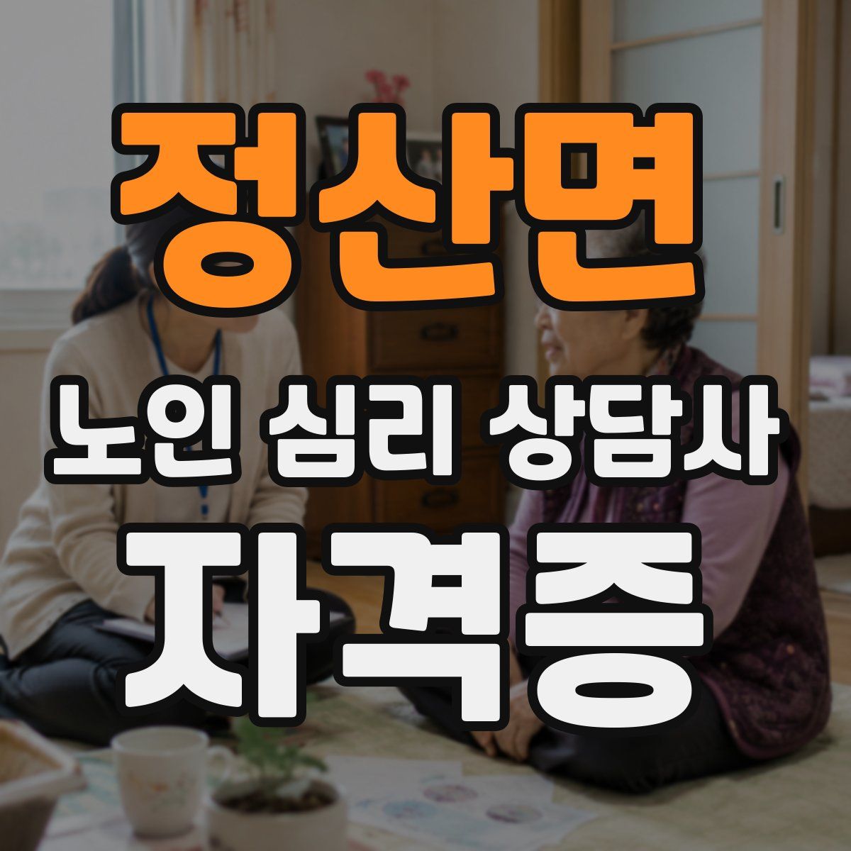 정산면 노인 심리 상담사 자격증