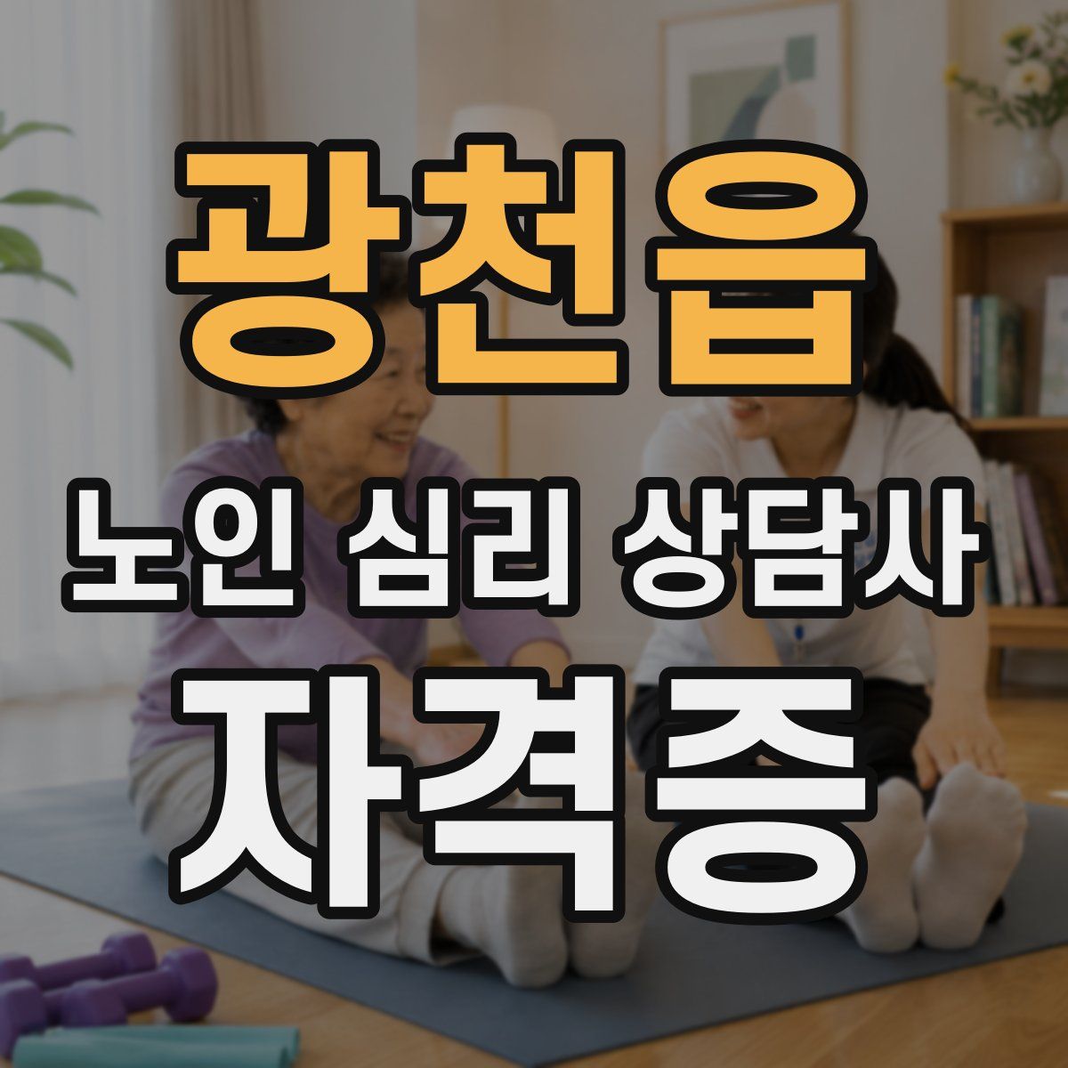광천읍 노인 심리 상담사 자격증