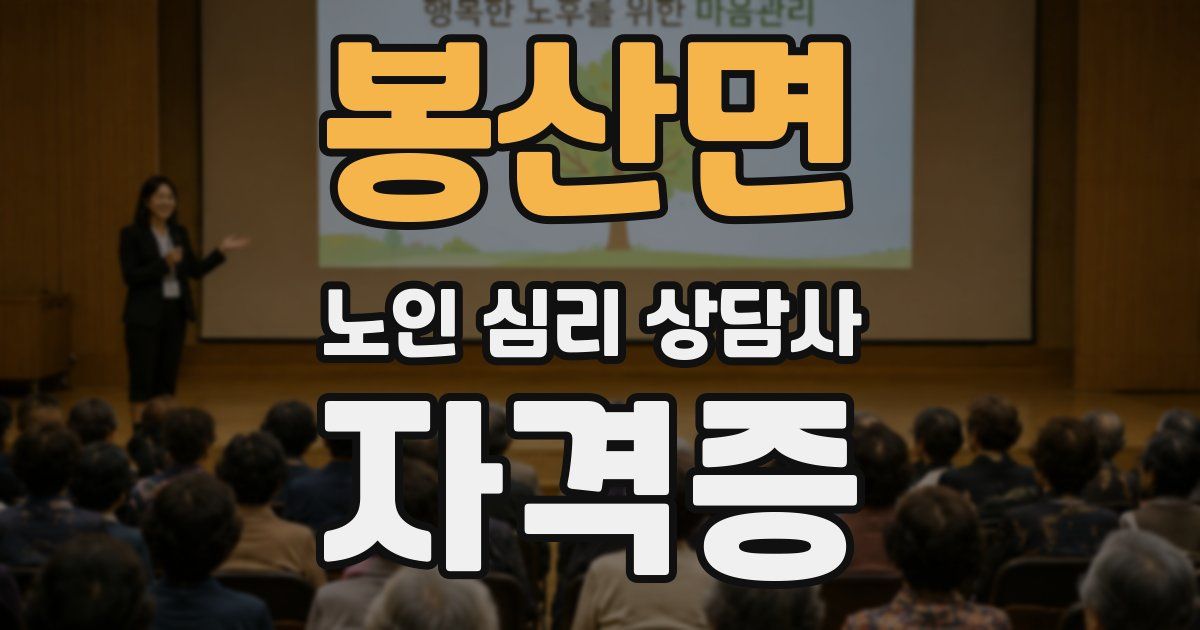 봉산면 노인 심리 상담사 자격증