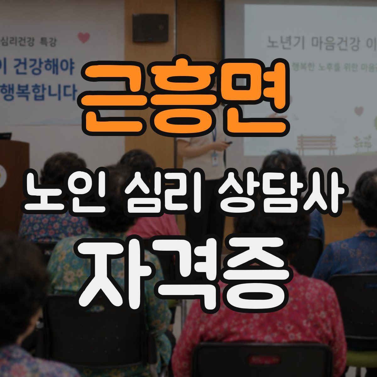 근흥면 노인 심리 상담사 자격증