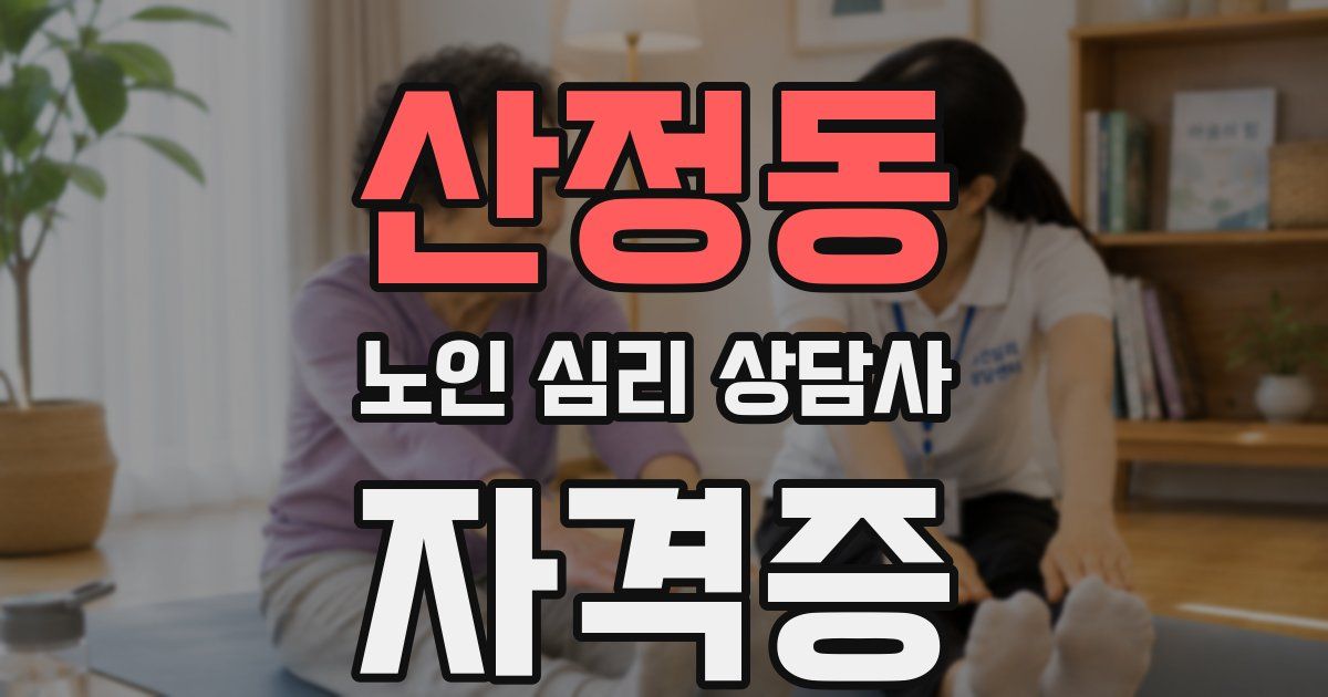 산정동 노인 심리 상담사 자격증