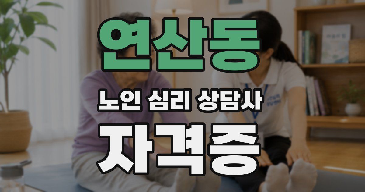 연산동 노인 심리 상담사 자격증