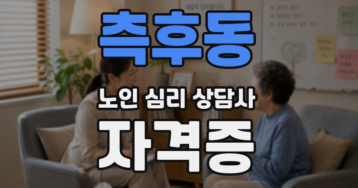 측후동 노인 심리 상담사 자격증