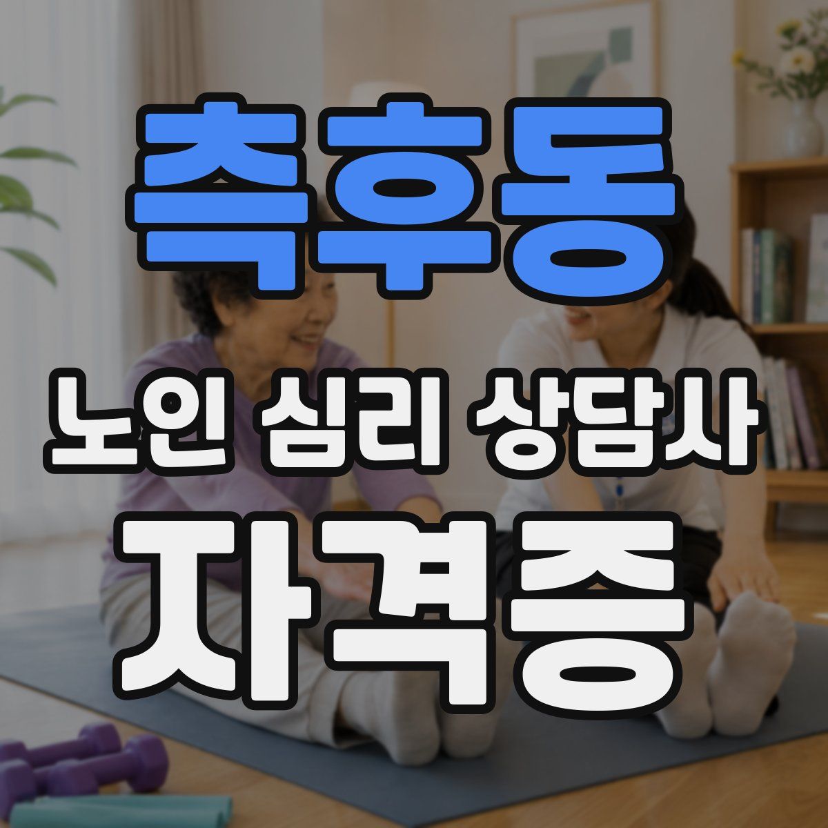 측후동 노인 심리 상담사 자격증