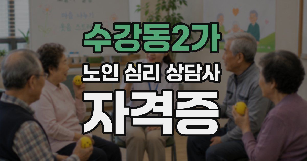 수강동2가 노인 심리 상담사 자격증