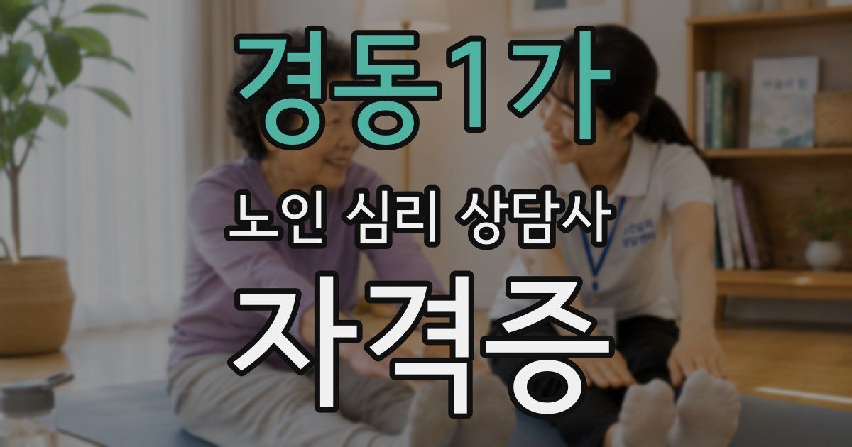 경동1가 노인 심리 상담사 자격증