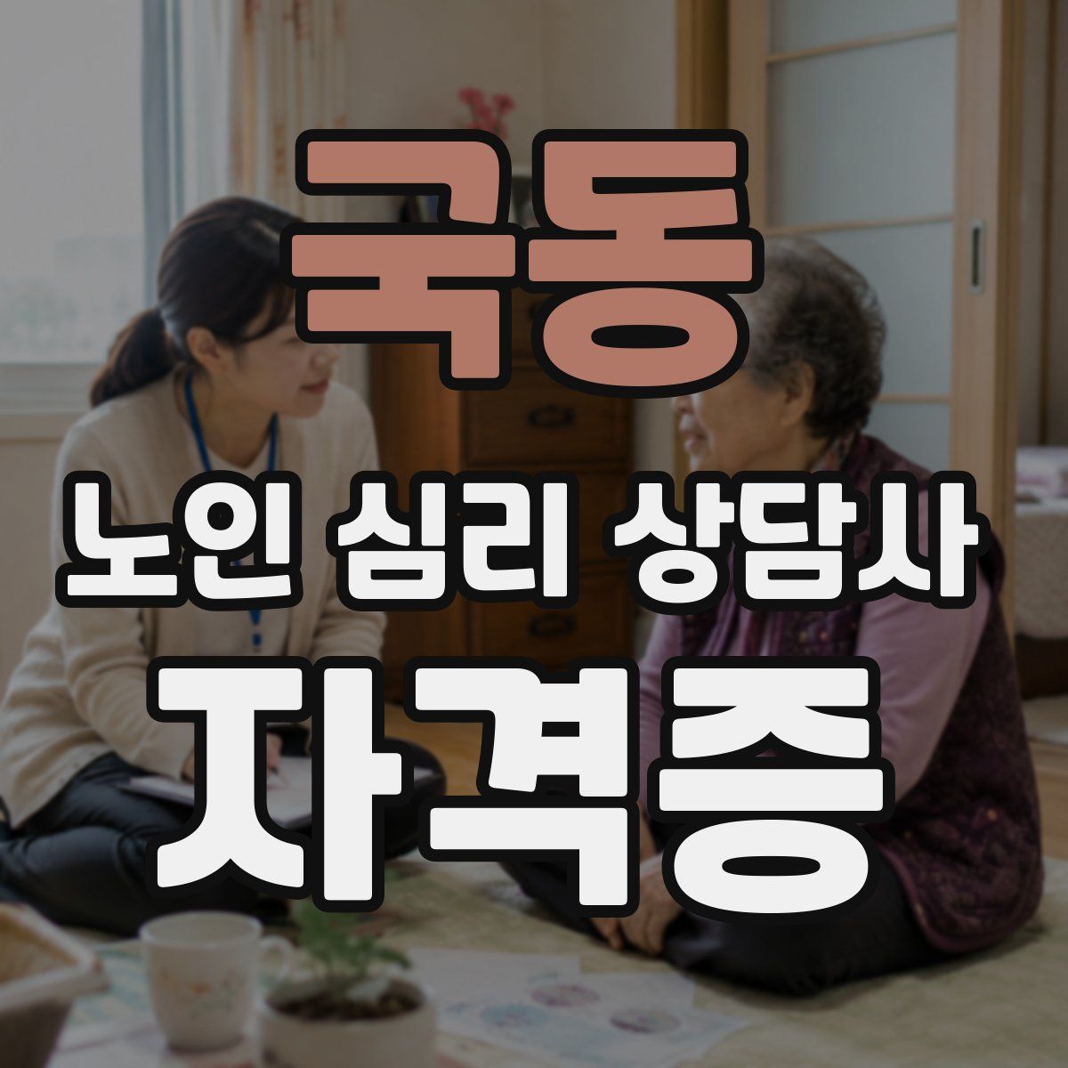 국동 노인 심리 상담사 자격증