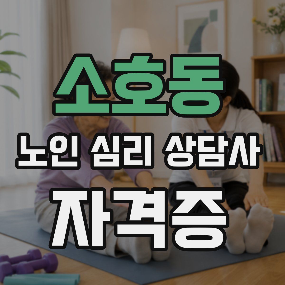 소호동 노인 심리 상담사 자격증
