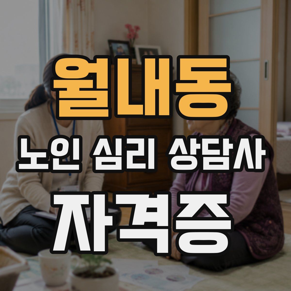 월내동 노인 심리 상담사 자격증