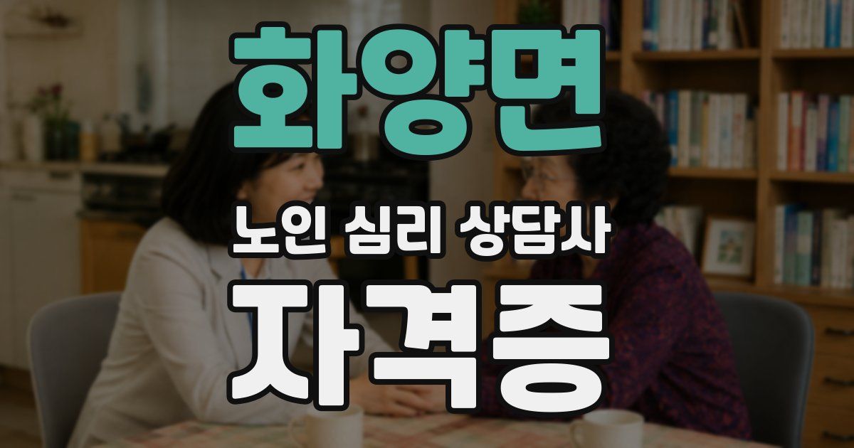 화양면 노인 심리 상담사 자격증