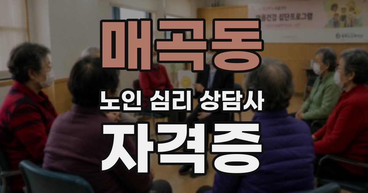 매곡동 노인 심리 상담사 자격증