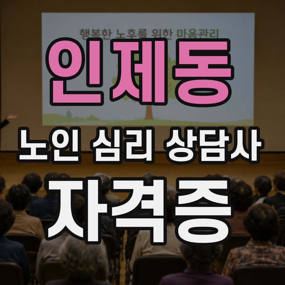 인제동 노인 심리 상담사 자격증