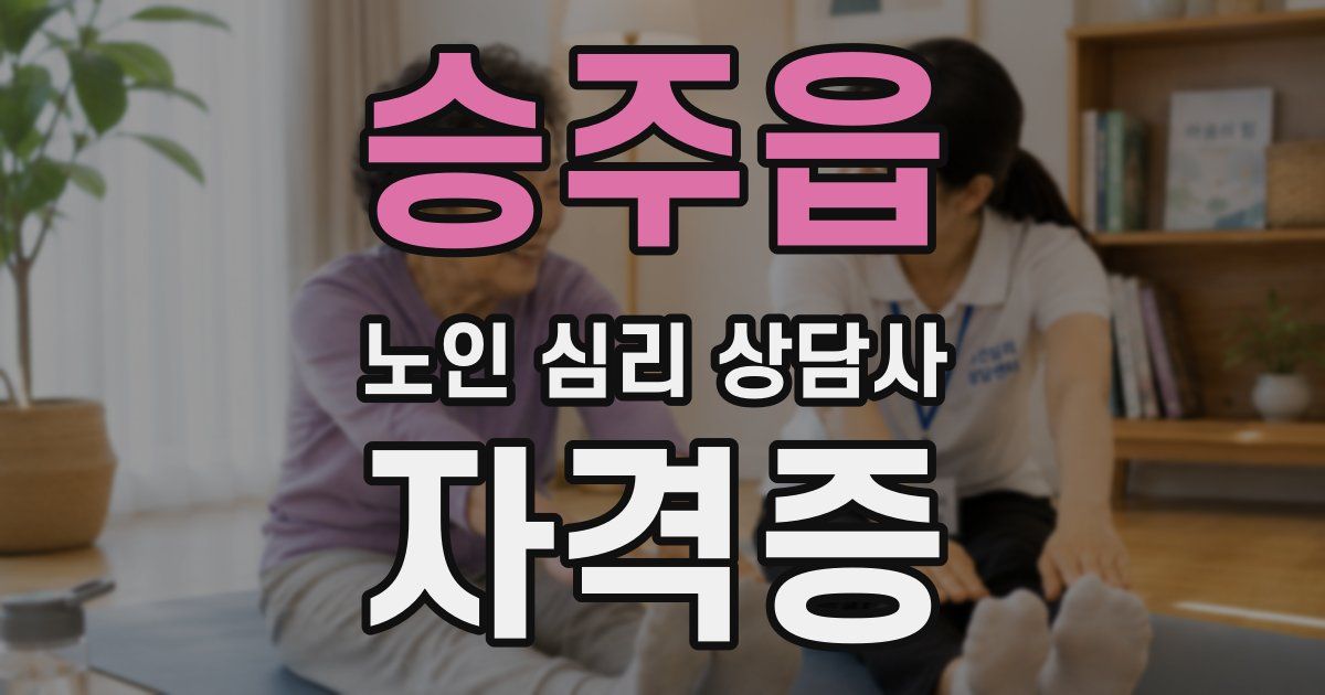 승주읍 노인 심리 상담사 자격증