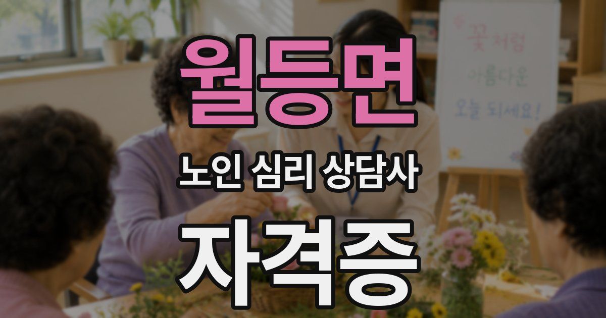 월등면 노인 심리 상담사 자격증