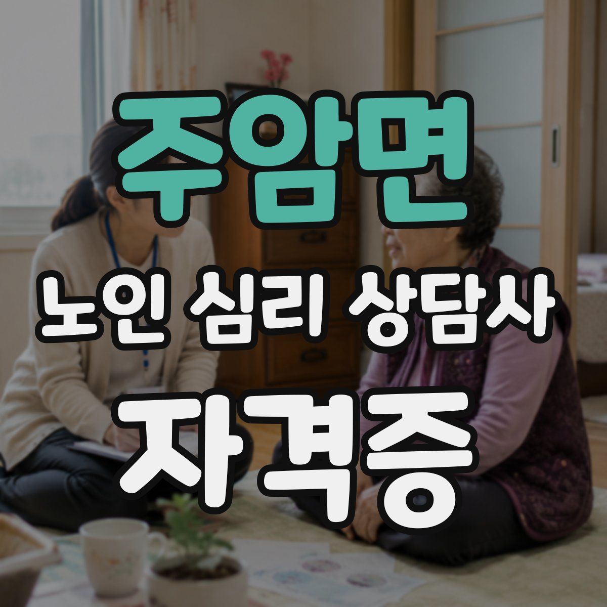 주암면 노인 심리 상담사 자격증