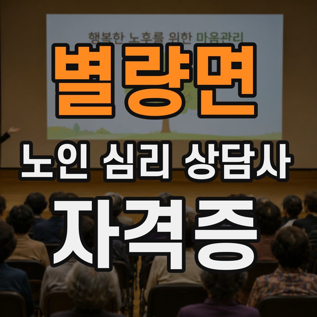 별량면 노인 심리 상담사 자격증