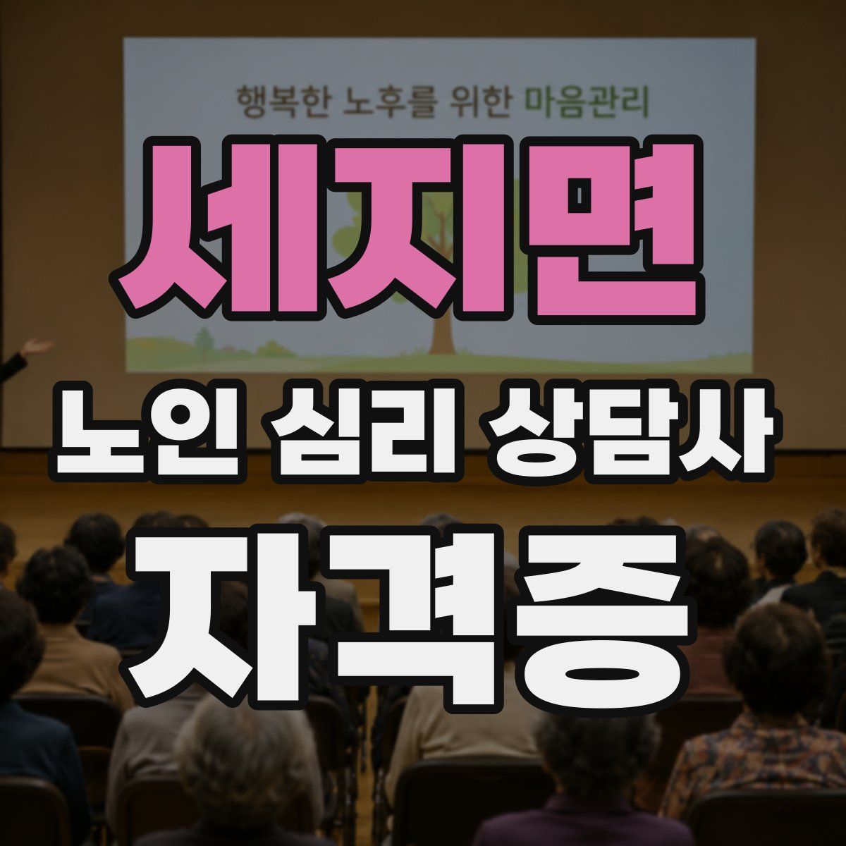 세지면 노인 심리 상담사 자격증