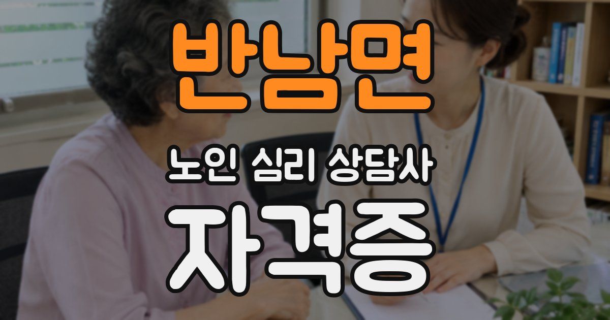 반남면 노인 심리 상담사 자격증