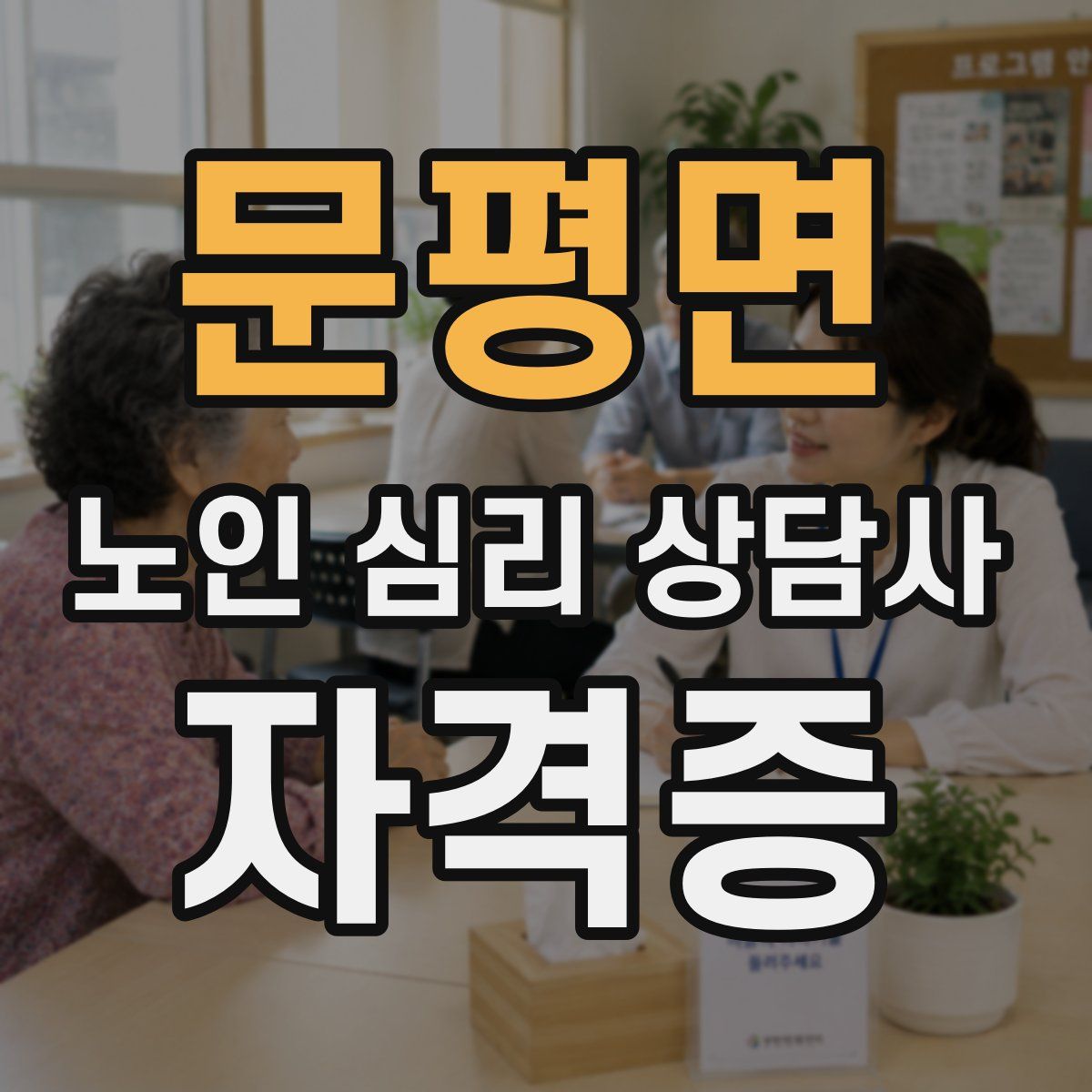 문평면 노인 심리 상담사 자격증