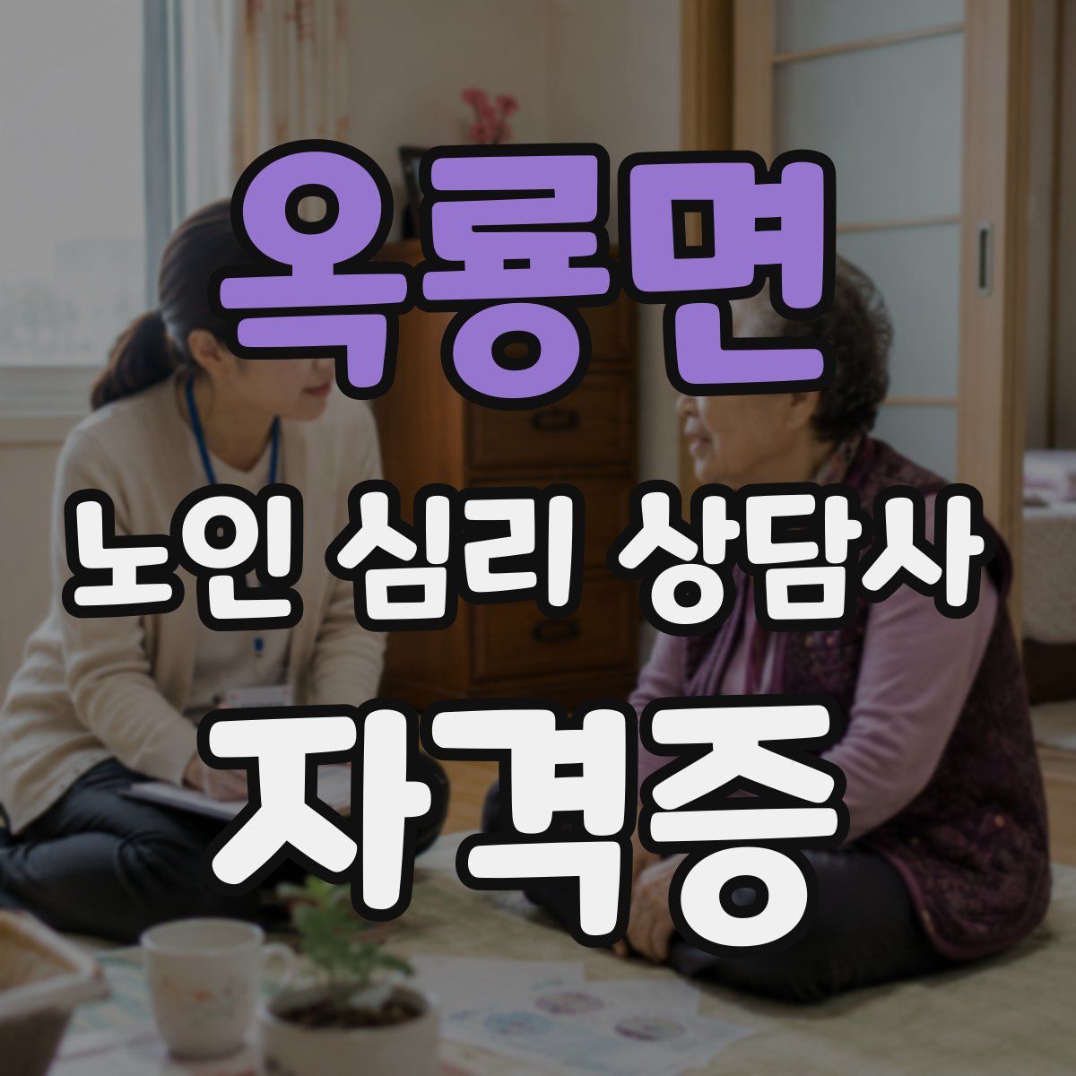 옥룡면 노인 심리 상담사 자격증