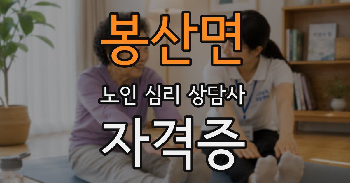봉산면 노인 심리 상담사 자격증