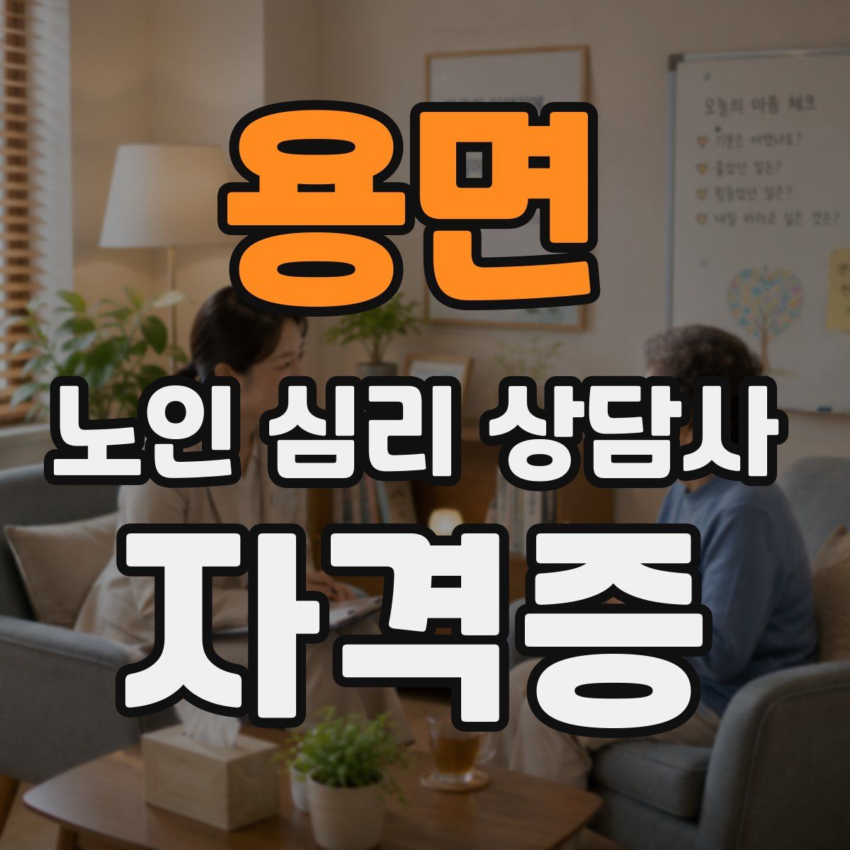 용면 노인 심리 상담사 자격증