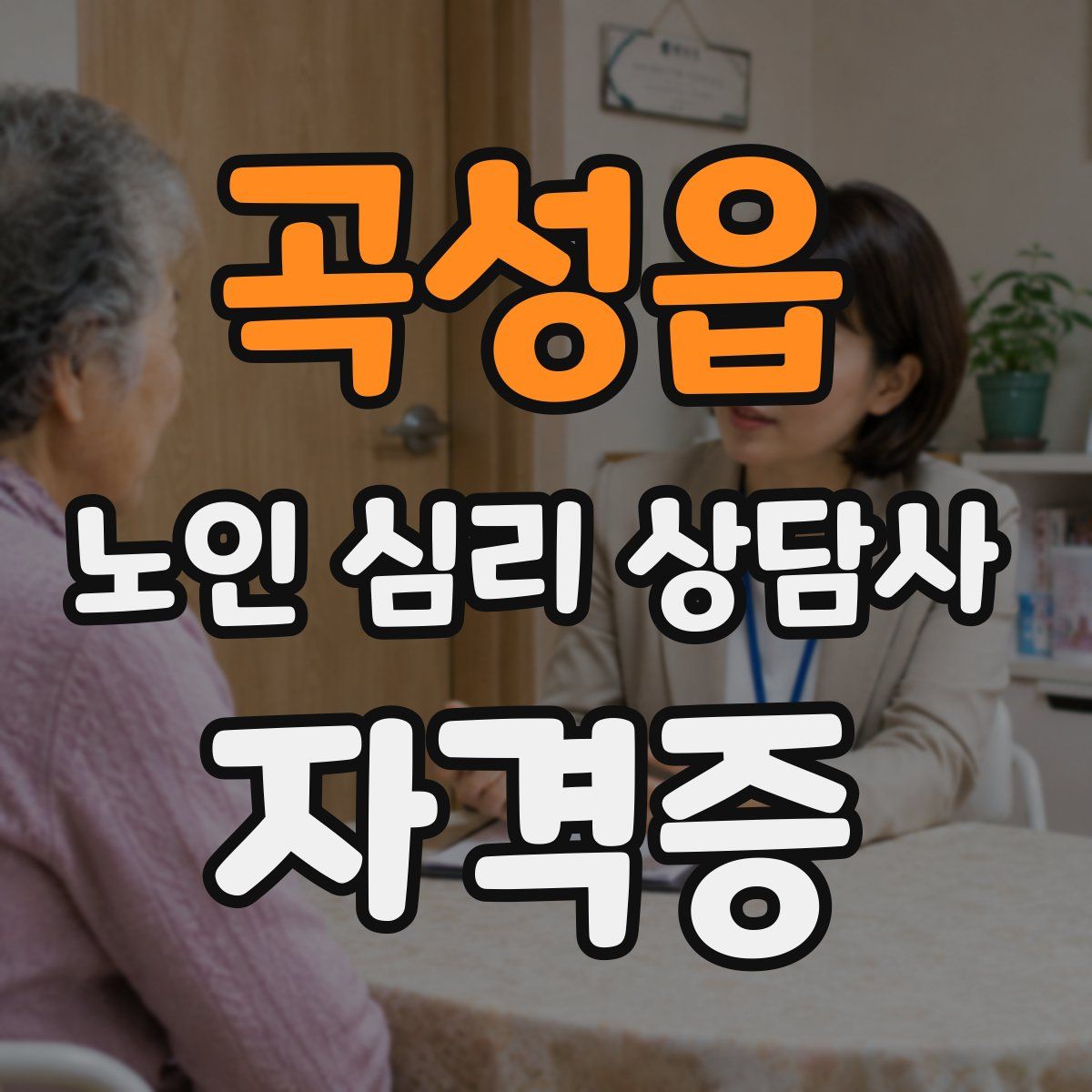 곡성읍 노인 심리 상담사 자격증
