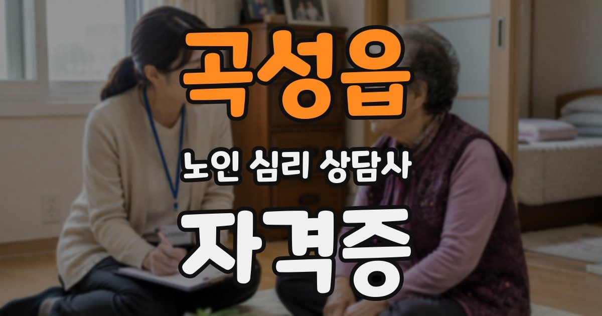 곡성읍 노인 심리 상담사 자격증