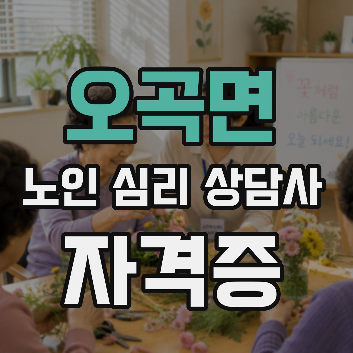 오곡면 노인 심리 상담사 자격증