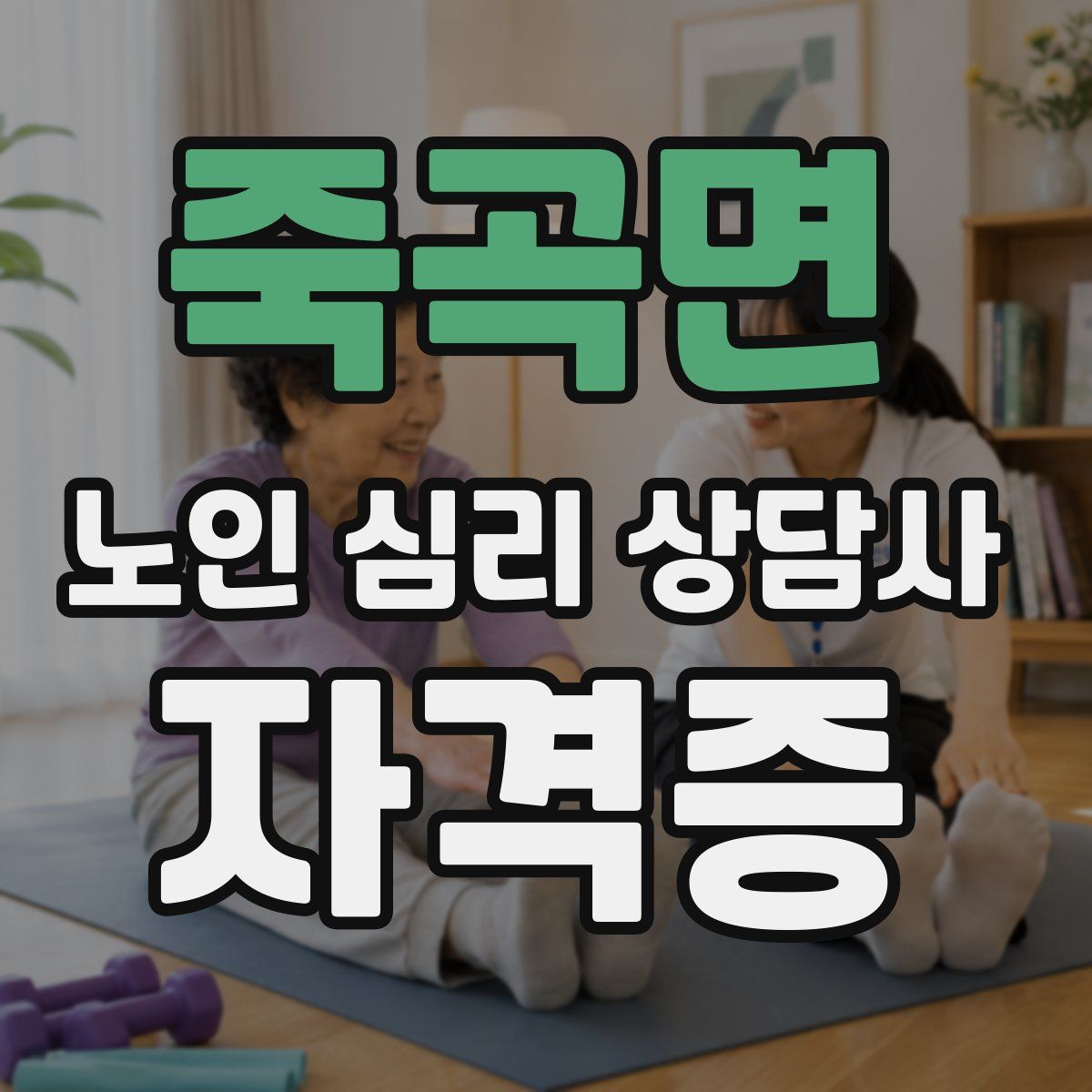 죽곡면 노인 심리 상담사 자격증