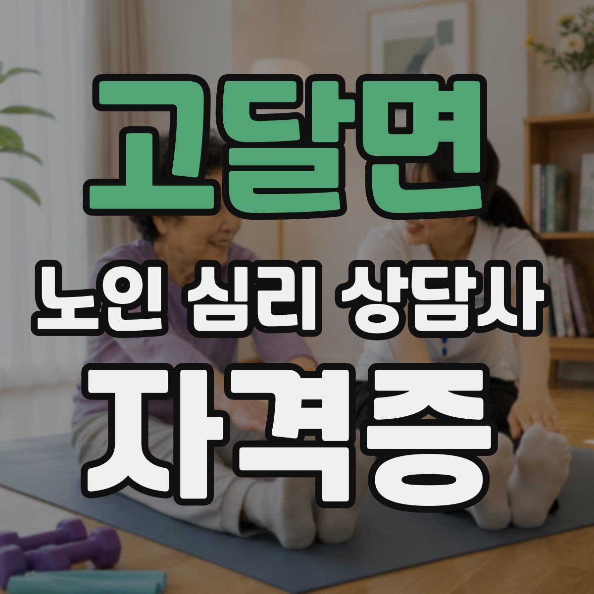 고달면 노인 심리 상담사 자격증