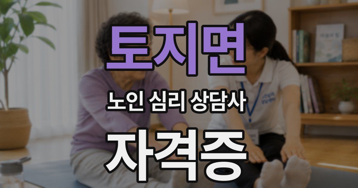 토지면 노인 심리 상담사 자격증