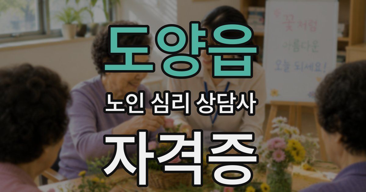 도양읍 노인 심리 상담사 자격증