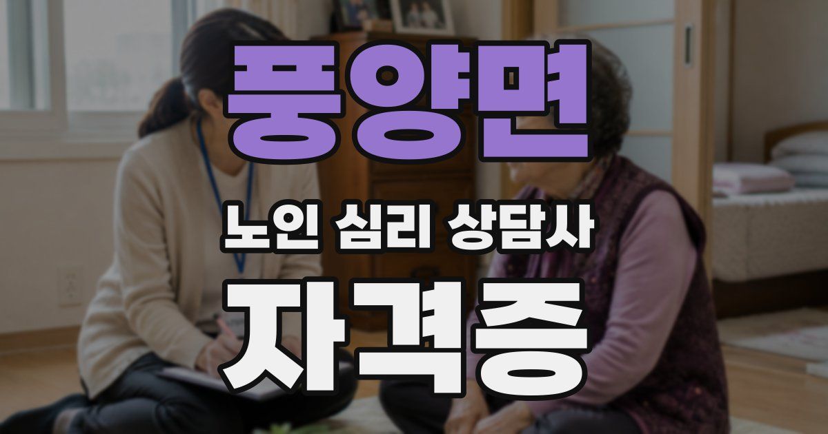 풍양면 노인 심리 상담사 자격증