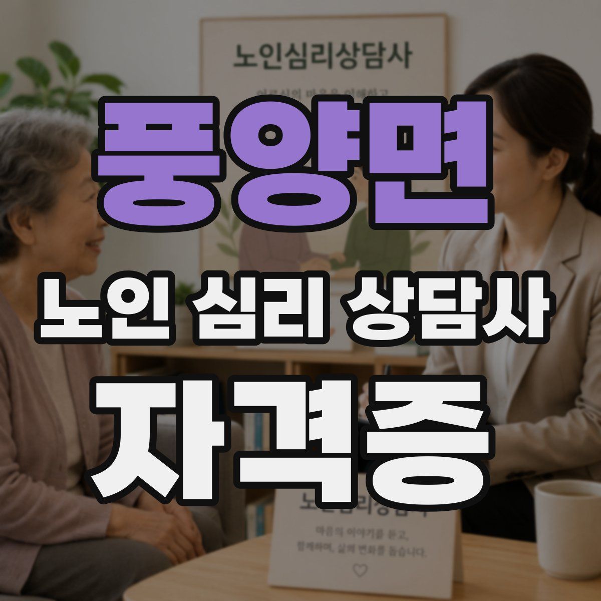 풍양면 노인 심리 상담사 자격증