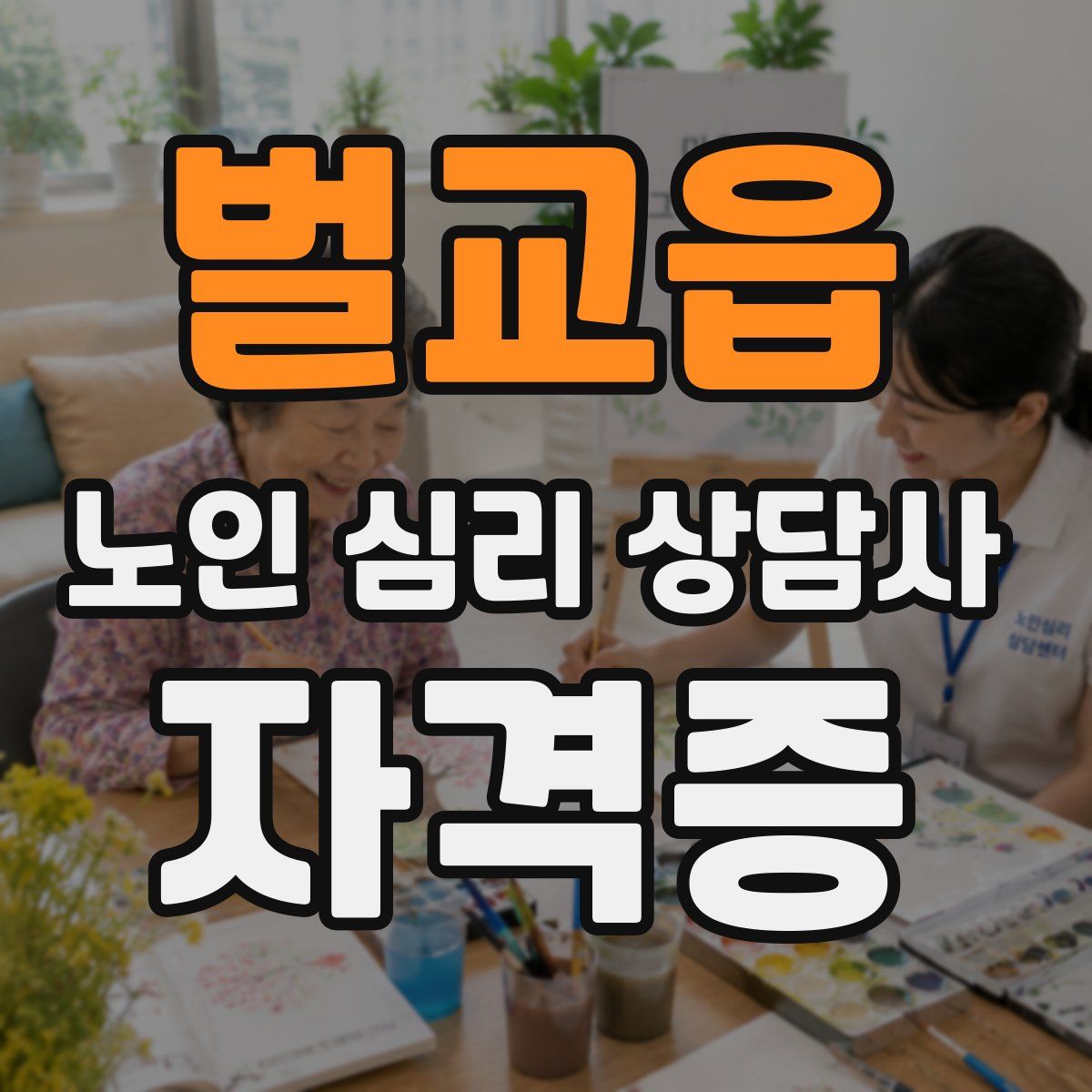 벌교읍 노인 심리 상담사 자격증